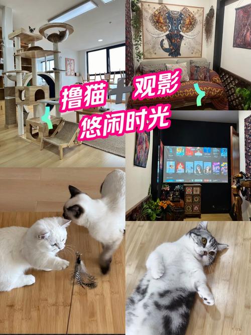 www.免费女人的相关介绍