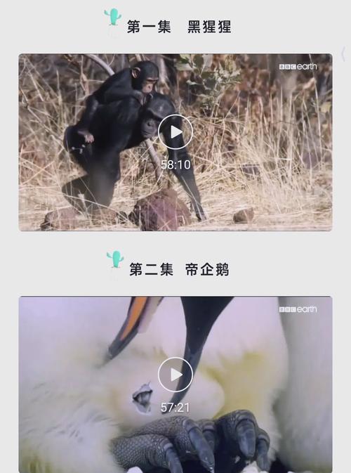 根据您的要求，结合“四虎影院”“网红美女”等核心词，为您生成一个符合SEO规范、包含3个长尾关键词的标题：

**标题：**  
四虎影院网红美女热舞合集｜高清直播回放｜宅男必备收藏

**包含的3个长尾关键词：**  
1. 网红美女热舞合集  
2. 高清直播回放  
3. 宅男必备收藏  

该标题将主词与长尾词自然融合，既满足搜索需求，也贴合内容场景。
