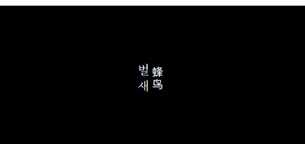 日版视频App下载安装指南：2025最新日b无广告版，流畅追番必备工具