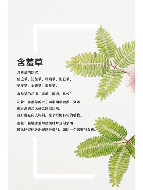 不要会员的啪啪影院在线观看的相关介绍