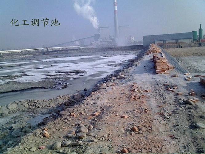 忘忧草影院日本在线观看高清资源，日本电影追剧推荐与最新动漫排行