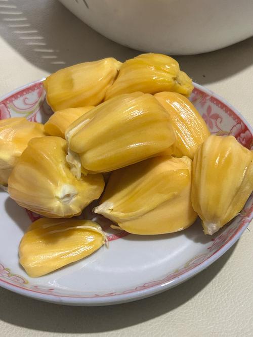 意大利伦理三级的相关介绍