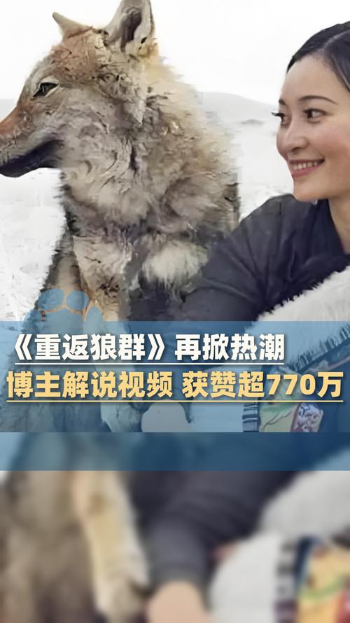 18岁禁止网站入口的相关介绍