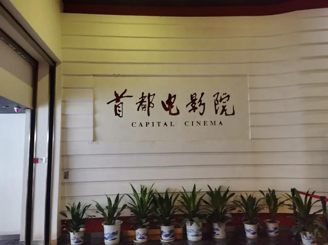 4480万达青苹果影院吧在线观看 - 最新影视资源高清免费播放平台