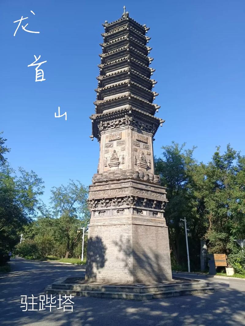 意大利伦理片完整版的相关介绍