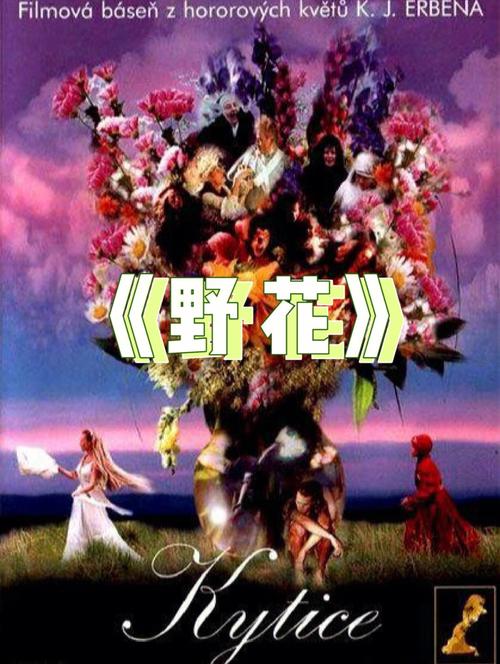 大西瓜影院 - 免费在线观看热门电影电视剧，最新高清影视资源大全