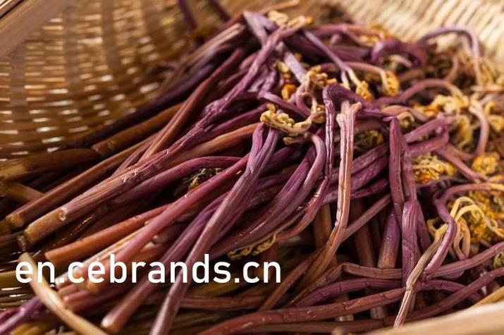 欧美18p动态图片的相关介绍