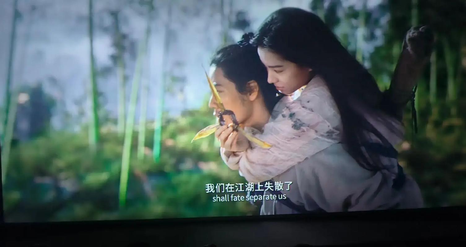 伊人大杳蕉在线中文影院的相关介绍