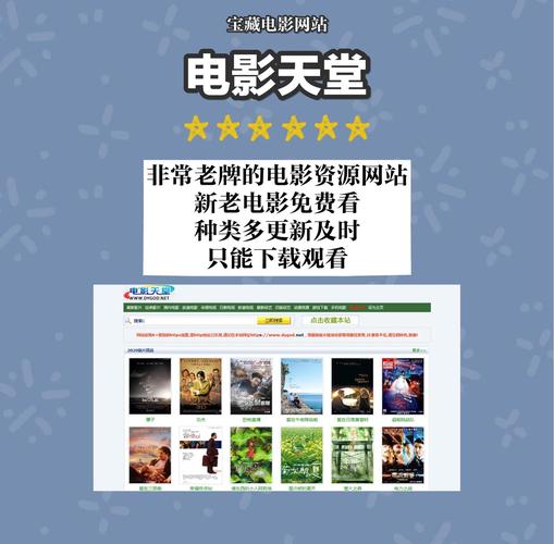 飞禽走兽电影院 | 特色主题影院体验 怀旧放映厅打卡 小众文艺电影推荐