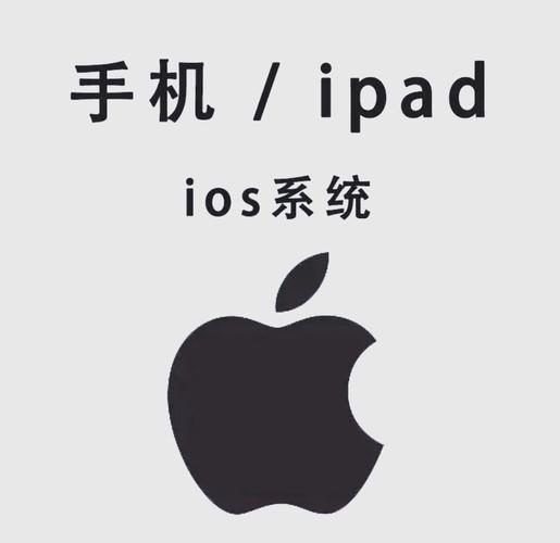 91视频APP下载安装指南，免费高清资源一键获取