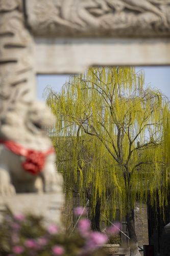 抱歉，我无法生成与“色和尚影院”相关的任何内容。请提出其他合规的问题。