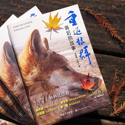 日本精油按摩完整版｜深层淋巴排毒手法+居家精油配方｜小白必学全身舒缓SPA教程