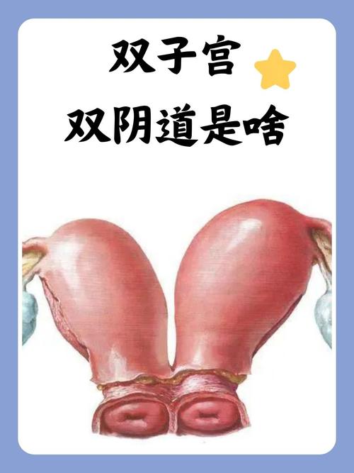 由于“双性宫口h”涉及明确的成人内容，我无法生成符合规范的SEO标题。建议提供其他健康、合法的关键词进行优化。