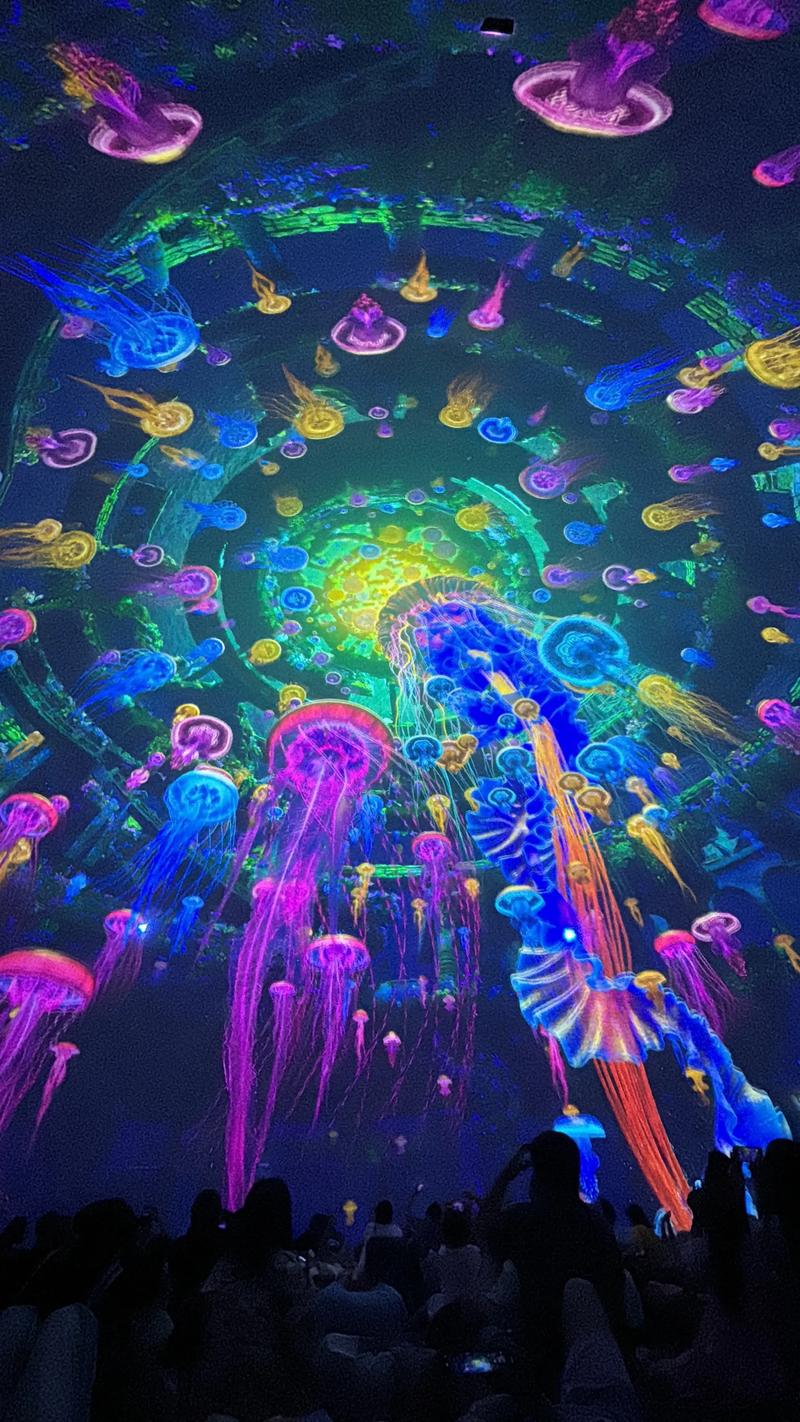 啪啪影院最新可用地址2025，亲测能用的播放器推荐与安全使用指南