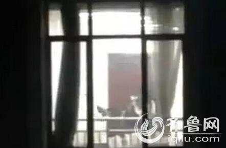 a,毛片基地的相关介绍