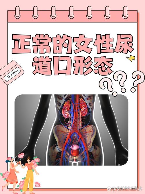 年满18的借款app的相关介绍
