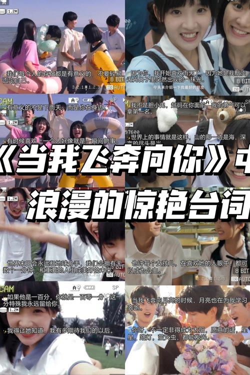 第一女秘书的相关介绍
